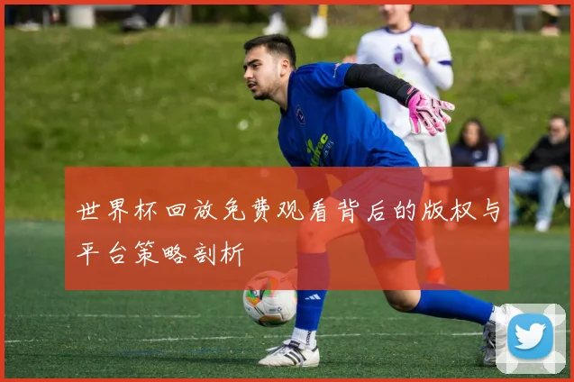 世界杯回放免费观看背后的版权与平台策略剖析