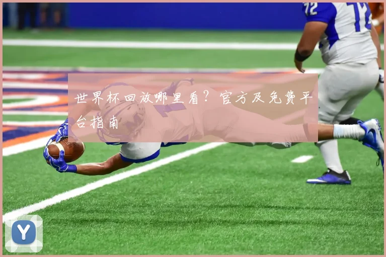 世界杯回放哪里看？官方及免费平台指南