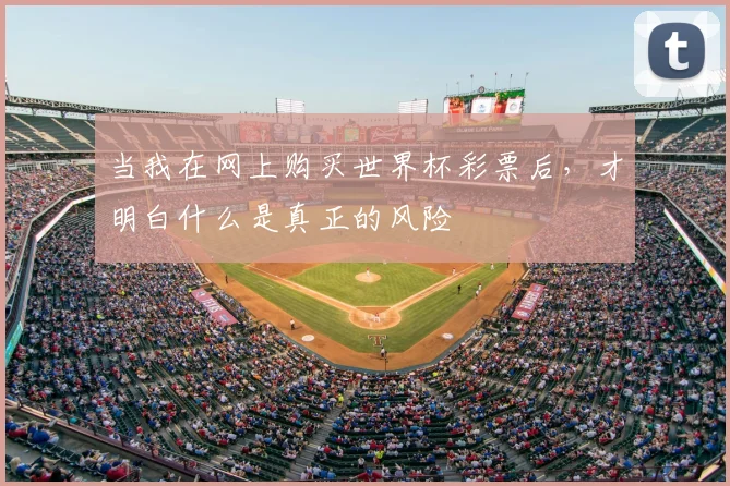 当我在网上购买世界杯彩票后，才明白什么是真正的风险