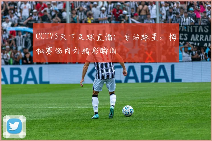 CCTV5天下足球直播：专访球星，揭秘赛场内外精彩瞬间