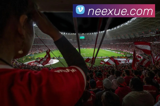 九游体育APP 高清赛事图